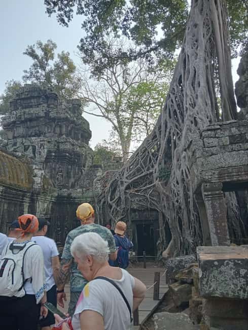 Siem Reap: Angkor Wat Tour with Italian-Speaking Guide - Private pacing, family needs, and photographs