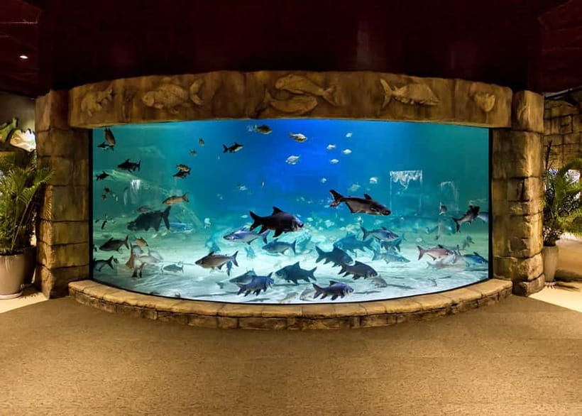 Siem Reap: Angkor Wildlife & Aquarium Entrance Ticket - A wildlife break from Siem Reap’s temples