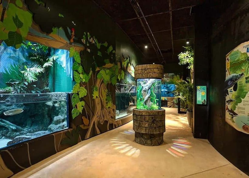 Siem Reap: Angkor Wildlife & Aquarium Entrance Ticket - Why the aquarium deserves real time