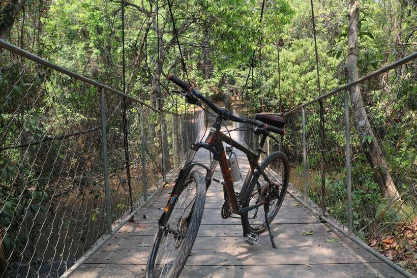 Siem Reap: Bike Rental - Riding from Siem Reap toward Angkor Wat