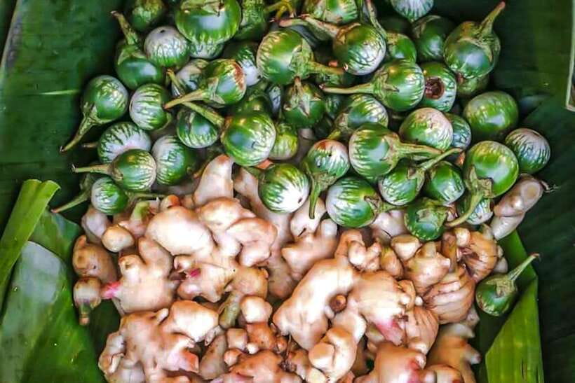 Siem Reap: Cambodia local street foods and local guide - Private feel, small-group setting, and transport