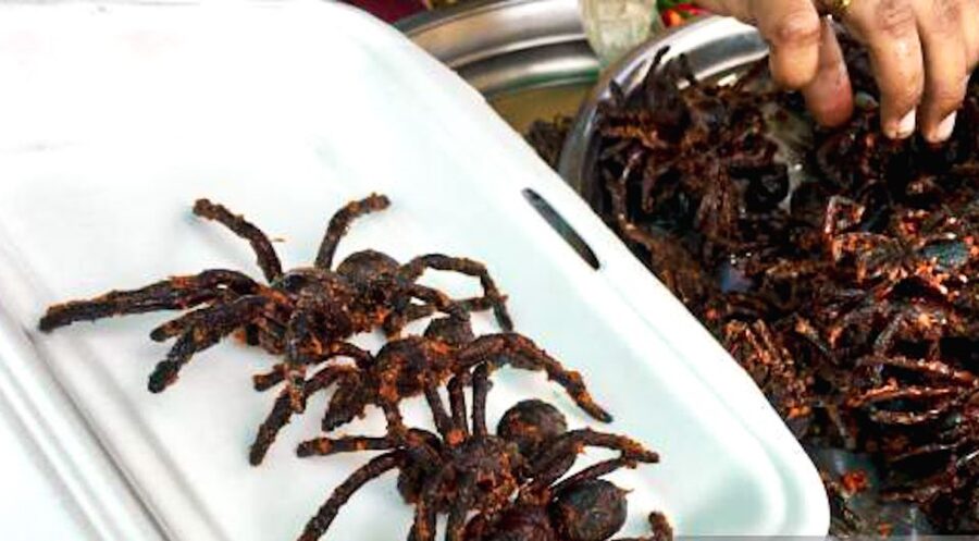 Siem Reap: Cambodia local street foods and local guide - Who will enjoy this experience most?