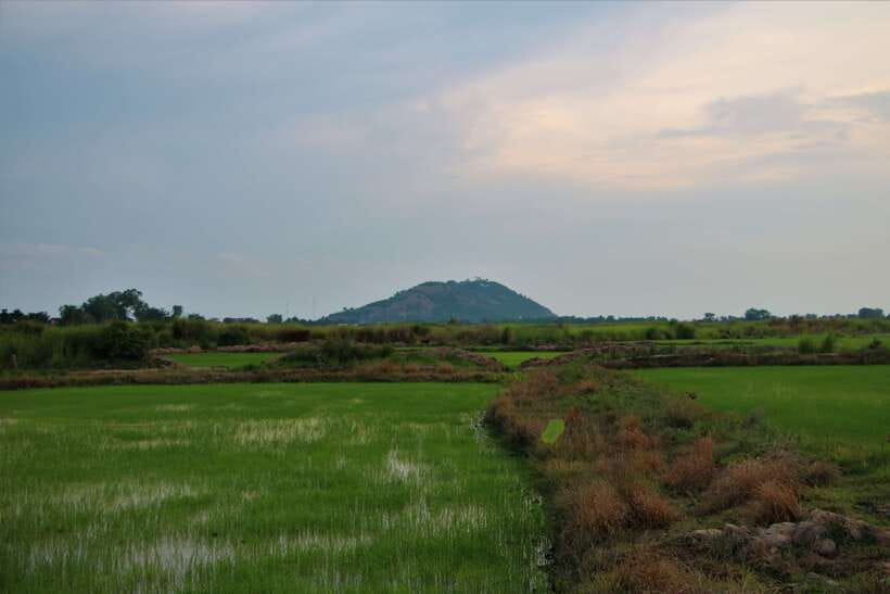 Siem Reap: Countryside Cycle and Local Village Life Tour - From Siem Reap streets to open rice fields