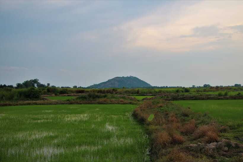 Siem Reap: Countryside Cycle and Local Village Life Tour - A working duck farm, not a staged attraction
