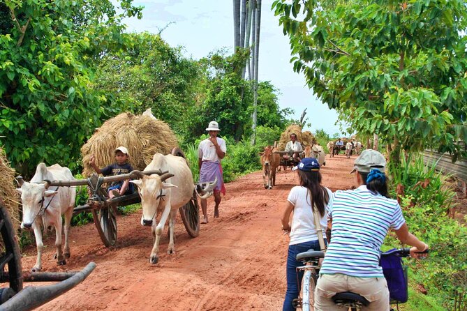 Siem Reap Countryside Jeep Tour - Pedaling past rice fields and village homes