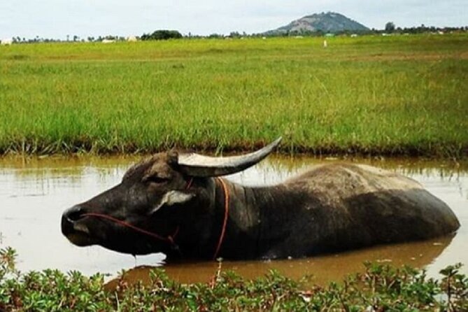 Siem Reap Countryside Sunset Jeep Tour - Half-day - What the $50 price includes