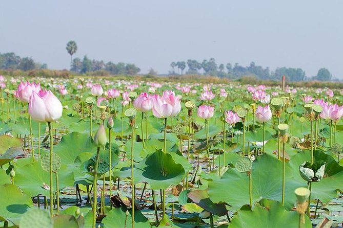 Siem Reap Countryside Sunset Jeep Tour - Half-day - Who will enjoy this Siem Reap sunset tour