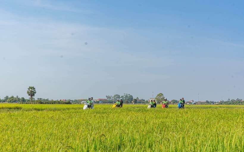 Siem Reap Countryside Sunset Vespa Tour or Tuk Tuk - Sra Sor and the small rice-wine producer