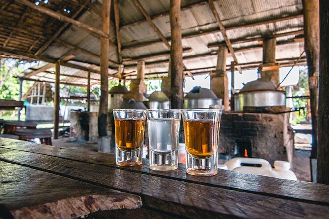 Siem Reap Countryside Sunset Vespa Tour / Tuk Tuk Available - Vespa, tuk tuk, or private car?