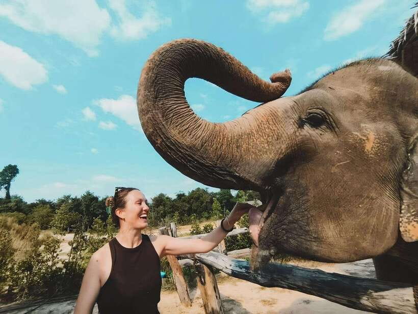 Siem Reap: Elephant Sanctuary Included Hotel Pickup Drop-off - A hands-on morning or afternoon with elephants
