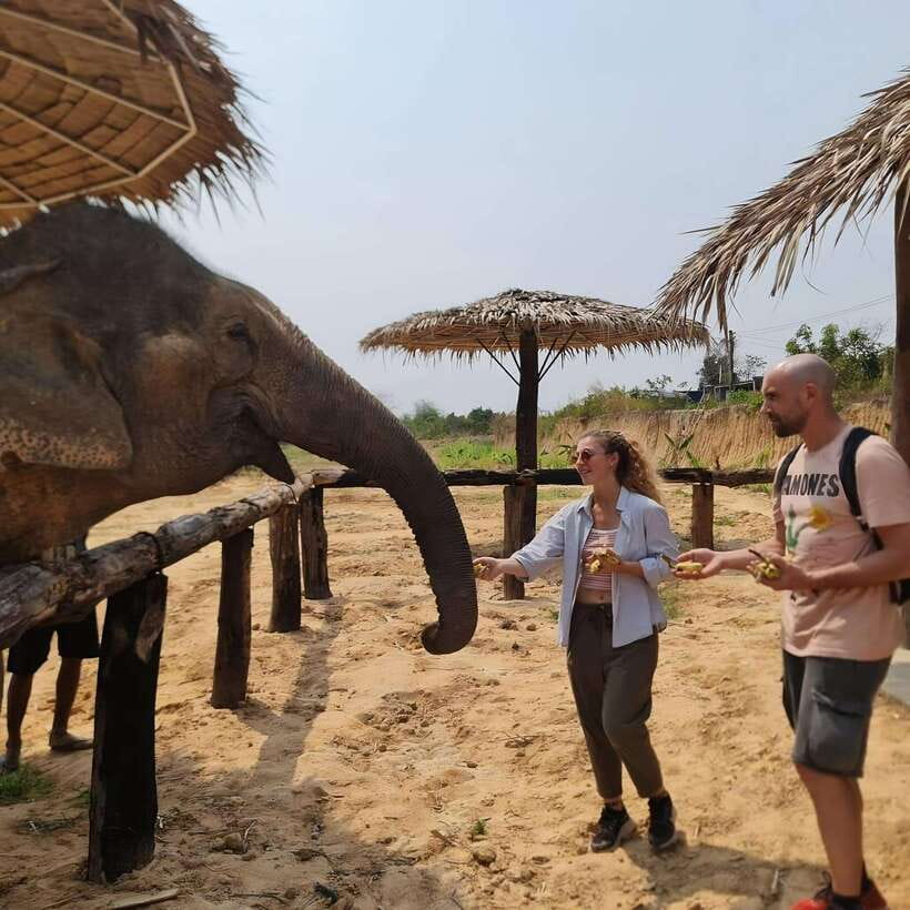 Siem Reap: Elephant Sanctuary Included Hotel Pickup Drop-off - Starting with an introduction and safety briefing