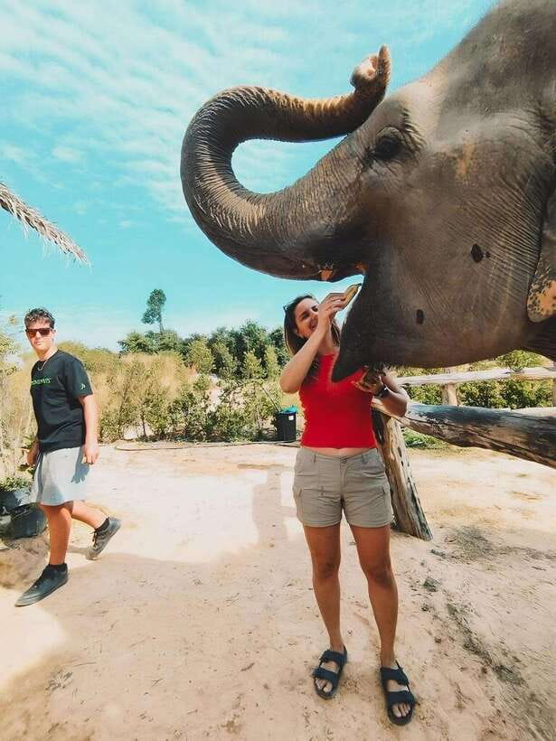 Siem Reap: Elephant Sanctuary Included Hotel Pickup Drop-off - Preparing food that supports elephant digestion