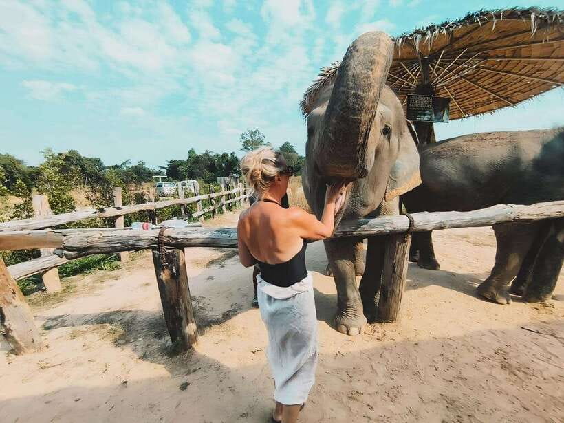 Siem Reap: Elephant Sanctuary Included Hotel Pickup Drop-off - The mud bath with the elephants