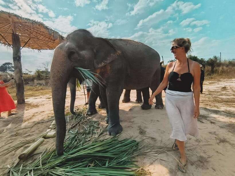 Siem Reap: Elephant Sanctuary Included Hotel Pickup Drop-off - Washing off in the bathing session
