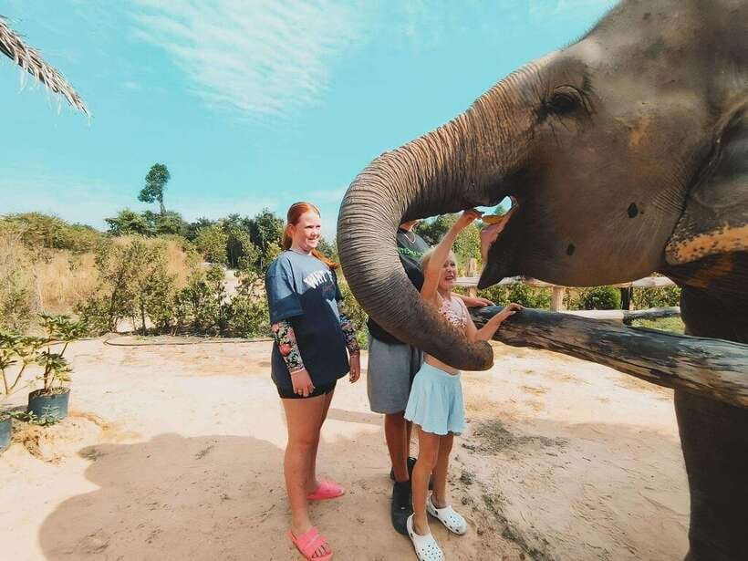 Siem Reap: Elephant Sanctuary Included Hotel Pickup Drop-off - The ride from Krong Siem Reap
