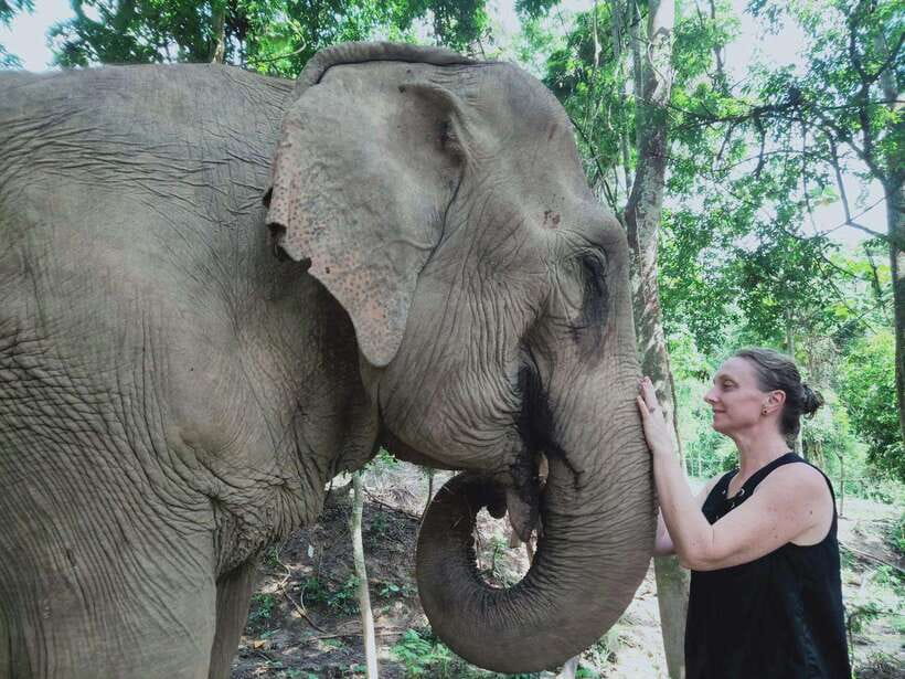 Siem Reap: Elephants & Apopo Rat Demining Private Trip - Key points to know before booking