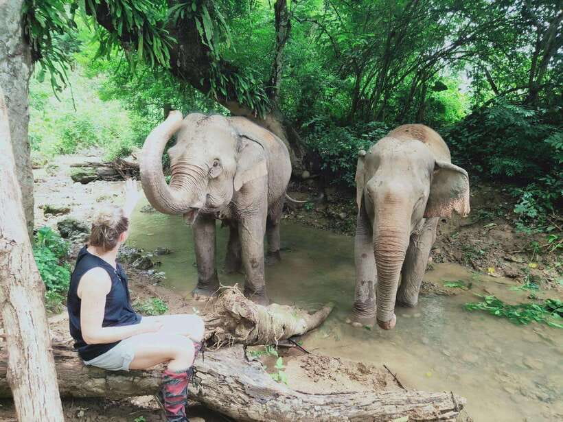 Siem Reap: Elephants & Apopo Rat Demining Private Trip - Why this combination works so well
