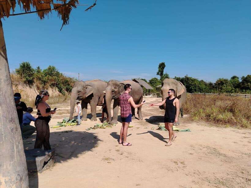 Siem Reap: Elephants & Apopo Rat Demining Private Trip - Who will get the most from this day?
