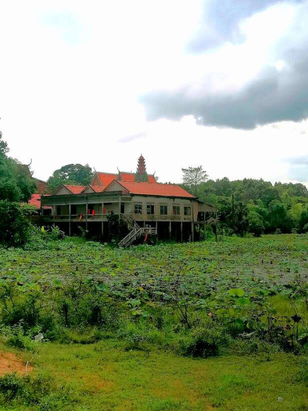 Siem Reap: Fishing in the rice fields, in the villages of Siem Reap - Leaving Siem Reap at 7 a.m.