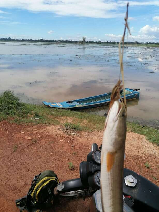 Siem Reap: Fishing in the rice fields, in the villages of Siem Reap - What the $68 price really covers
