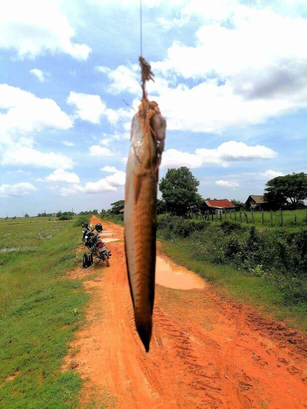 Siem Reap: Fishing in the rice fields, in the villages of Siem Reap - Who will enjoy this day most