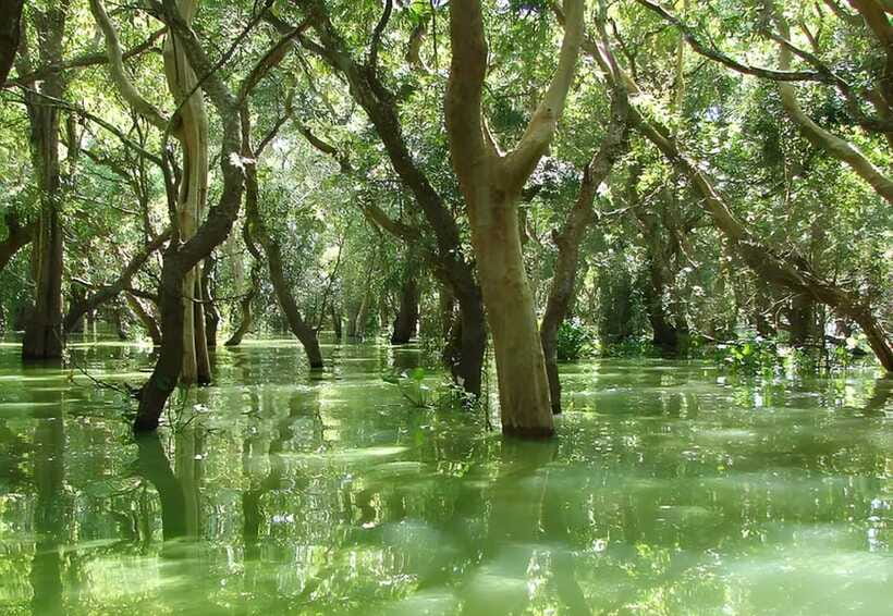 Siem Reap: Floating Village, Kampong Phluk Private Tour - Wet season or dry season?