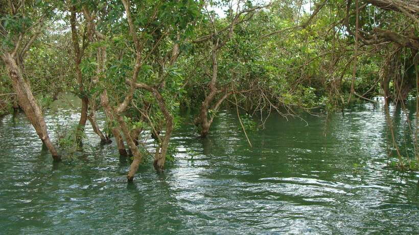 Siem Reap Floating Village Tour, Kompong Phluk Tour - Why Kompong Phluk feels different from a standard lake cruise