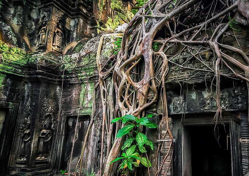 Siem Reap: Full-Day Angkor Wat Guided Tour with Sunset - Angkor Thom and Bayon’s stone faces