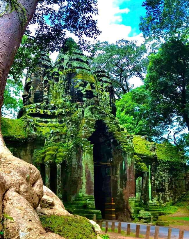 Siem Reap: Full Day Angkor Wat Temple Tour with Sunset - Ta Prohm and the jungle path