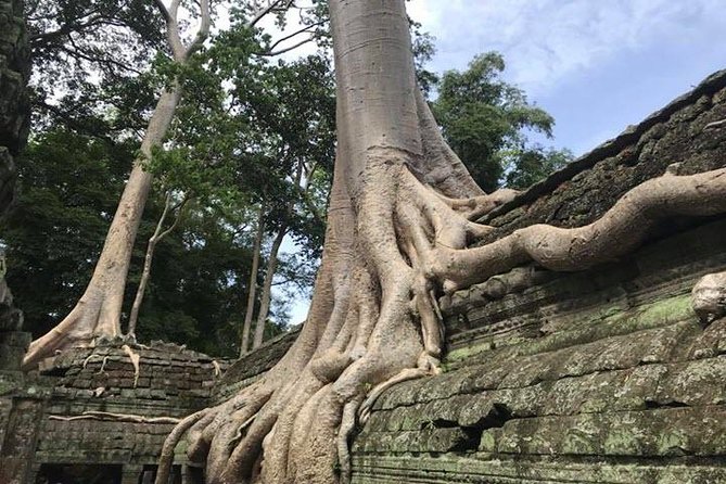 Siem Reap Full Day Angkor Wat Tour Small Group - Ta Prohm, ninety minutes of roots and ruins