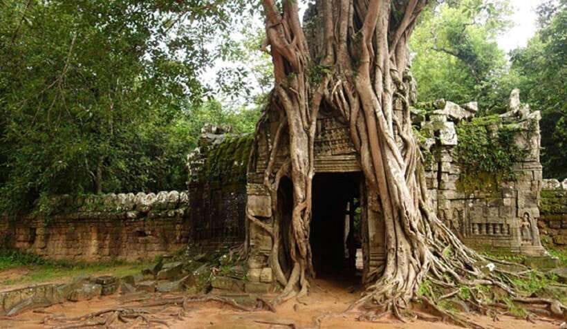 Siem Reap: Grand Circle Temples Tour With Private Tuk-Tuk - The tuk-tuk ride and driver service