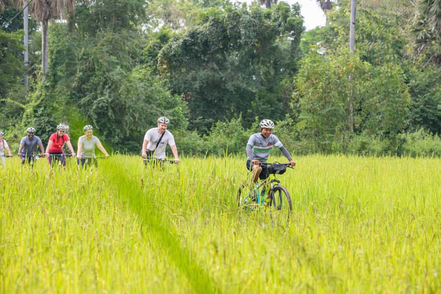 Siem Reap: Guided Countryside Bike Tour - Mushroom farms, lotus farms, and rural enterprise