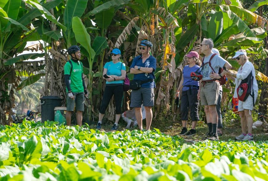 Siem Reap: Guided Countryside Bike Tour - Is the $35 price good value?
