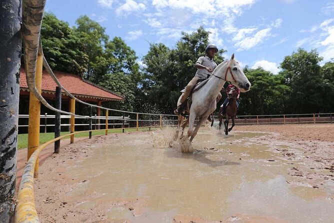 Siem Reap Happy Horse Riding Free Pick-up & Drop-off - Key points at a glance