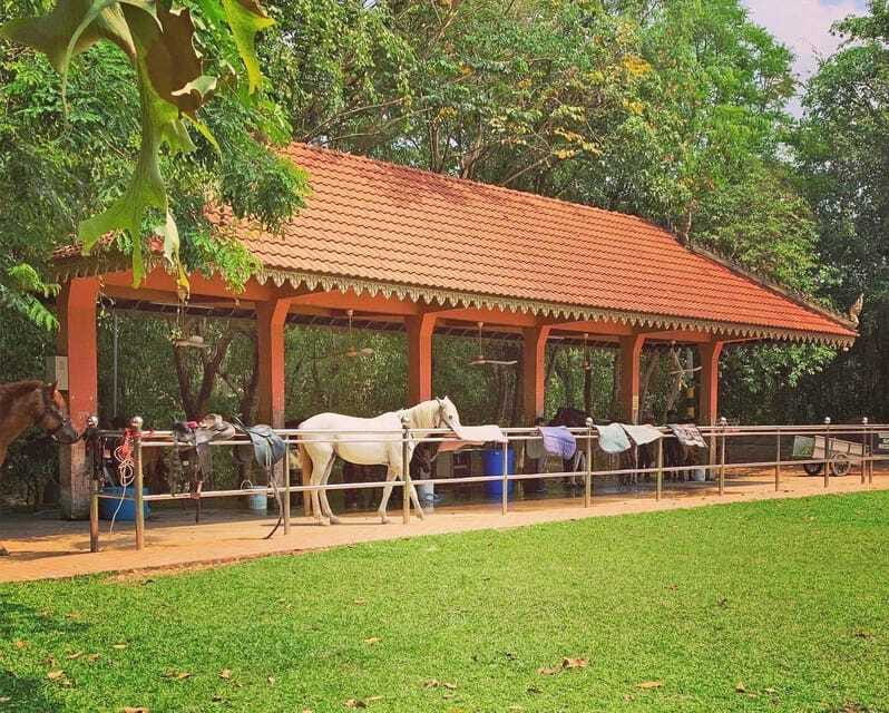 Siem Reap Happy Horse Riding Free Pick-up & Drop-off - Final call: book it for a slower side of Siem Reap