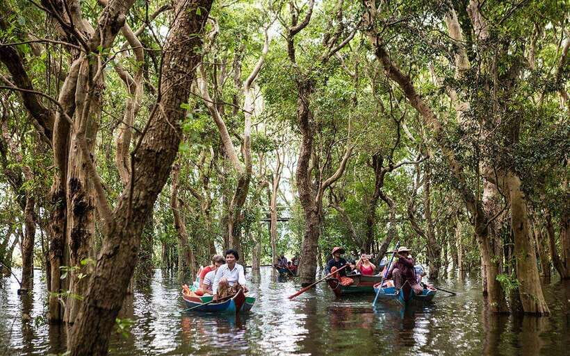 Siem Reap: Kompong Phluk Floating Village Half-Day Tour - Tonlé Sap and the optional flooded-forest canoe ride