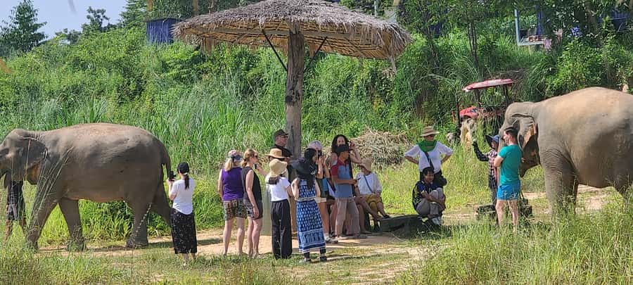 Siem Reap: Kulen Elephant Forest Guided Tour - Key points at a glance