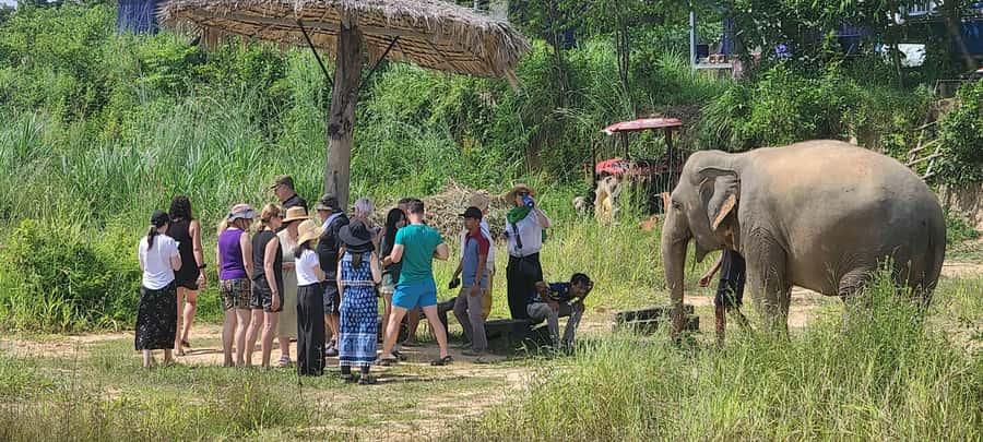 Siem Reap: Kulen Elephant Forest Guided Tour - Khmer lunch at base camp