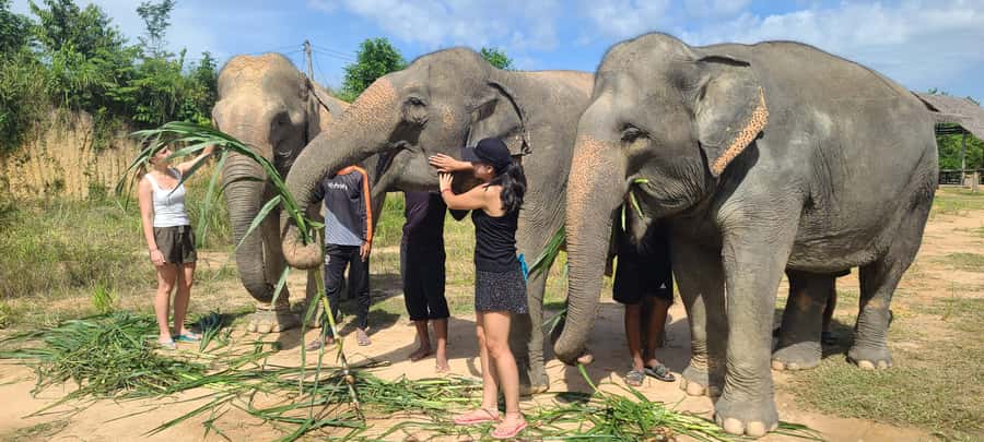 Siem Reap: Kulen Elephant Forest Guided Tour - The one-hour ride from Siem Reap