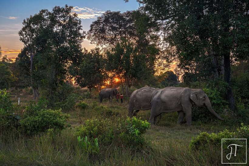 Siem Reap: Kulen Elephant Forest & Tonlesap Lake - Is $217 a fair price?