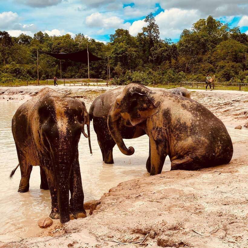 Siem Reap: Kulen Elephant Forest & Tonlesap Lake - The two-kilometer walk through Kulen’s forest
