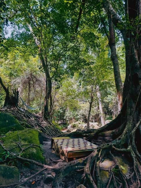 Siem Reap: Kulen Mountain, Beng Mealea, and Kampong Phluk - Beng Mealea and its fallen stones
