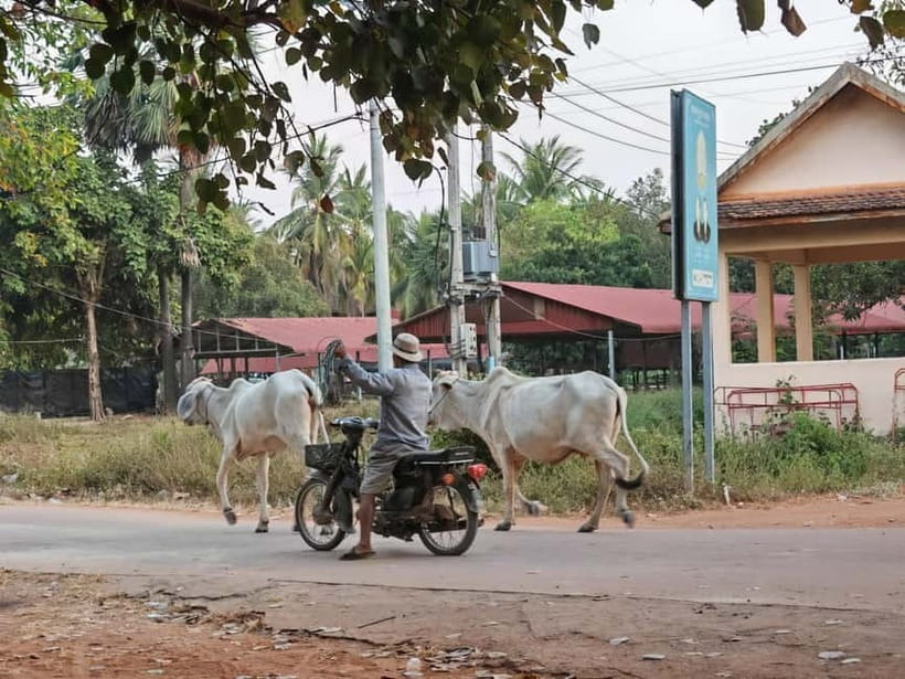 Siem Reap: Monk Blessings and Village Life Scooter Tour - Banh Chhev at a local store