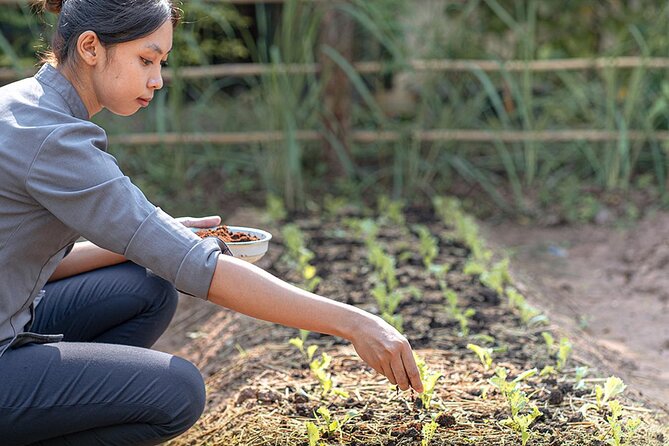 Siem Reap Morning Culinary & Culture Tour - (Vego also available) - Finishing beside locally grown produce