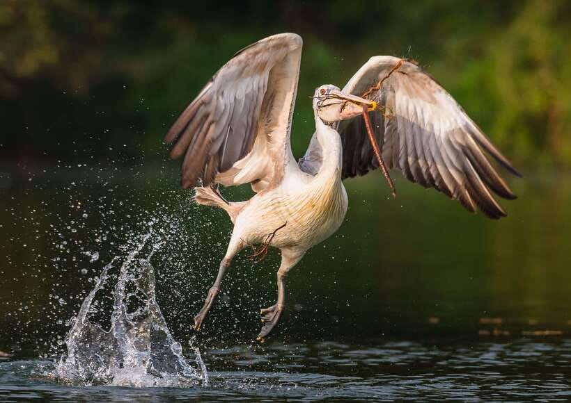 Siem Reap: Prek Toal Tonle Sap Biosphere Reserve Tour - Small details that make the day easier