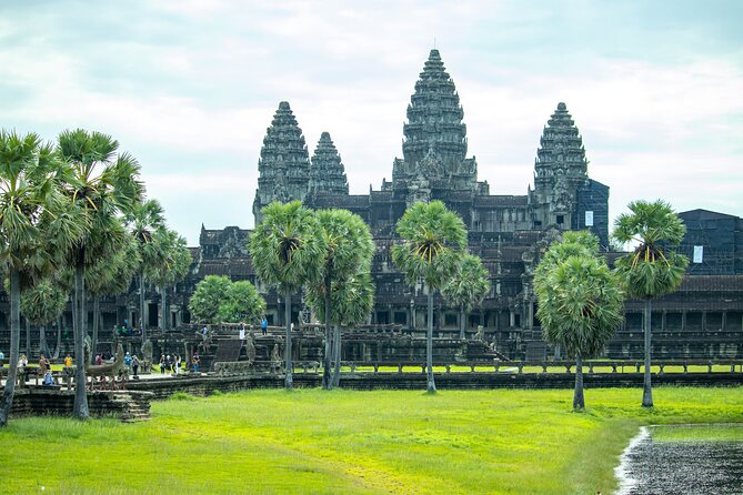 Siem Reap: Private Angkor Wat Sunrise & Tour Around Angkor Park - Ta Prohm and the trees that changed its image