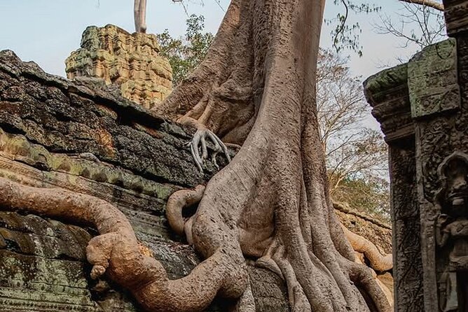 Siem Reap Private Full Day Angkor Wat Tour with Sunset or Sunrise - A private route through Angkor’s essential temples