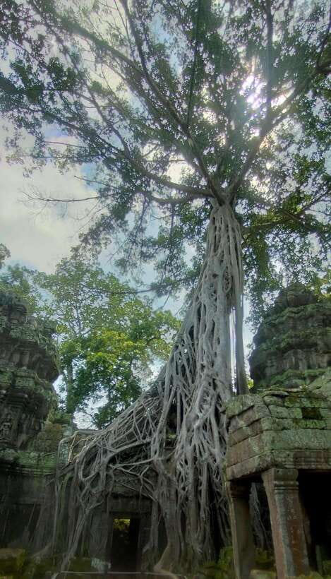 Siem Reap Private Tour: Angkor Wat Sunrise And Banteay Srei - Key points at a glance