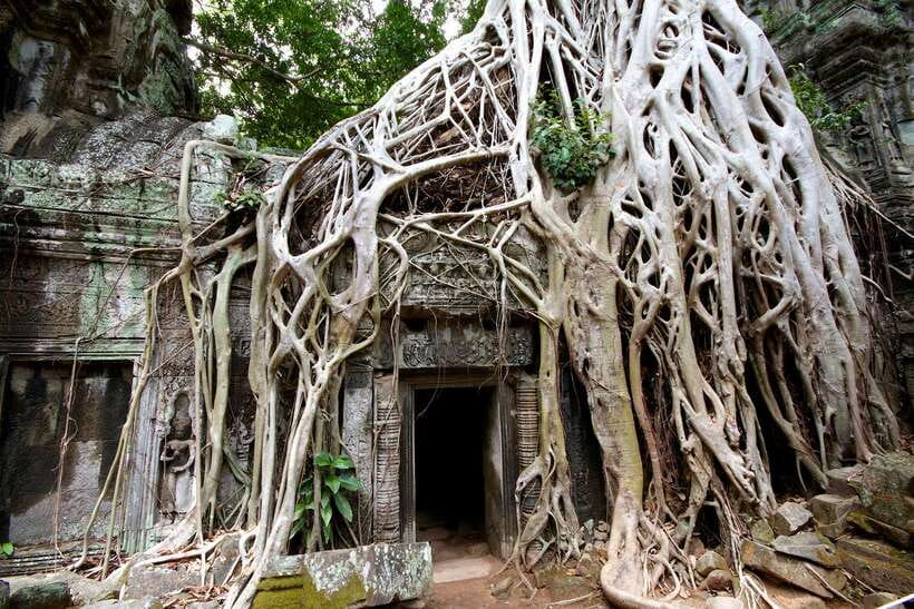 Siem Reap: Private Tour of Angkor Complex - Bayon’s carved faces