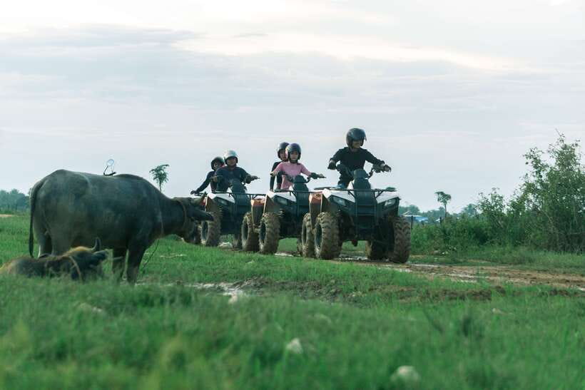 Siem Reap: Quad Bike Tour of Local Villages - Rice paddies, buffalo, and rural Cambodia